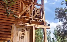 Cabaña en el Bosque de San José del Pacífico 3